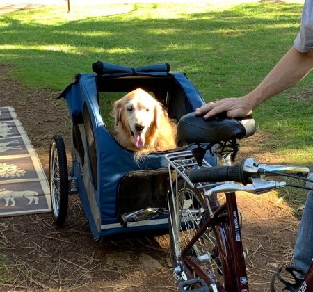 What to Look for in the Best Dog Bike trailer ?